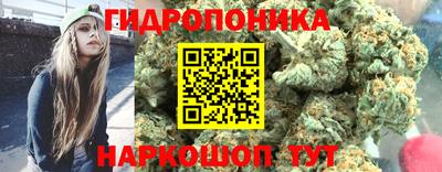 индика Ливны